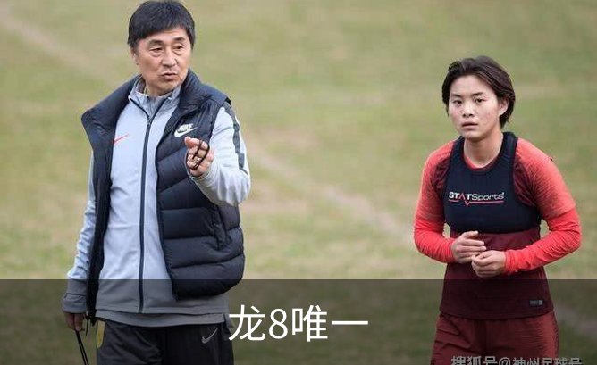 关于龙8唯一